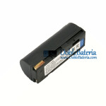 Batería para Fujifilm 1700 Z2700 F20 F40fd F47fd Finepix NP-80 MX-4900 [Batería de repuesto]